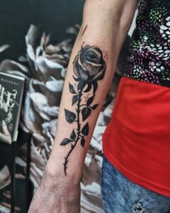 499375664 122152032782576335 7780433086169403703 n